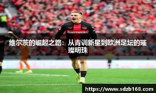 维尔茨的崛起之路：从青训新星到欧洲足坛的璀璨明珠