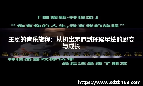 王岚的音乐旅程：从初出茅庐到璀璨星途的蜕变与成长